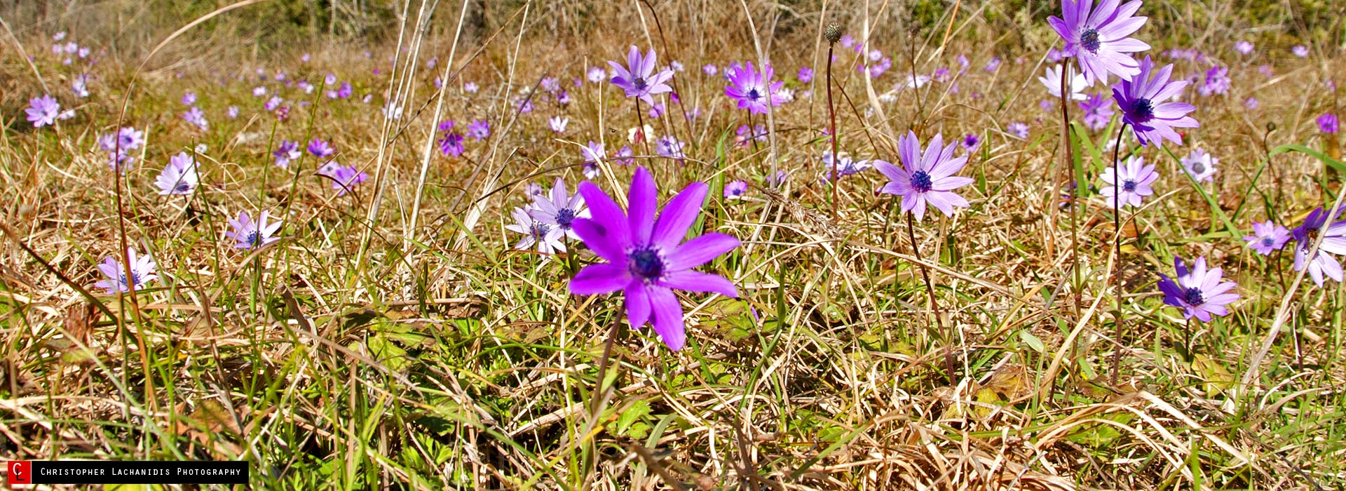 Perdika Thesprotias.Full of nature!